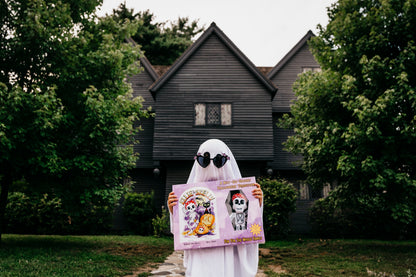 Ellie The Skelly Hardcover Book & Plush Bundle